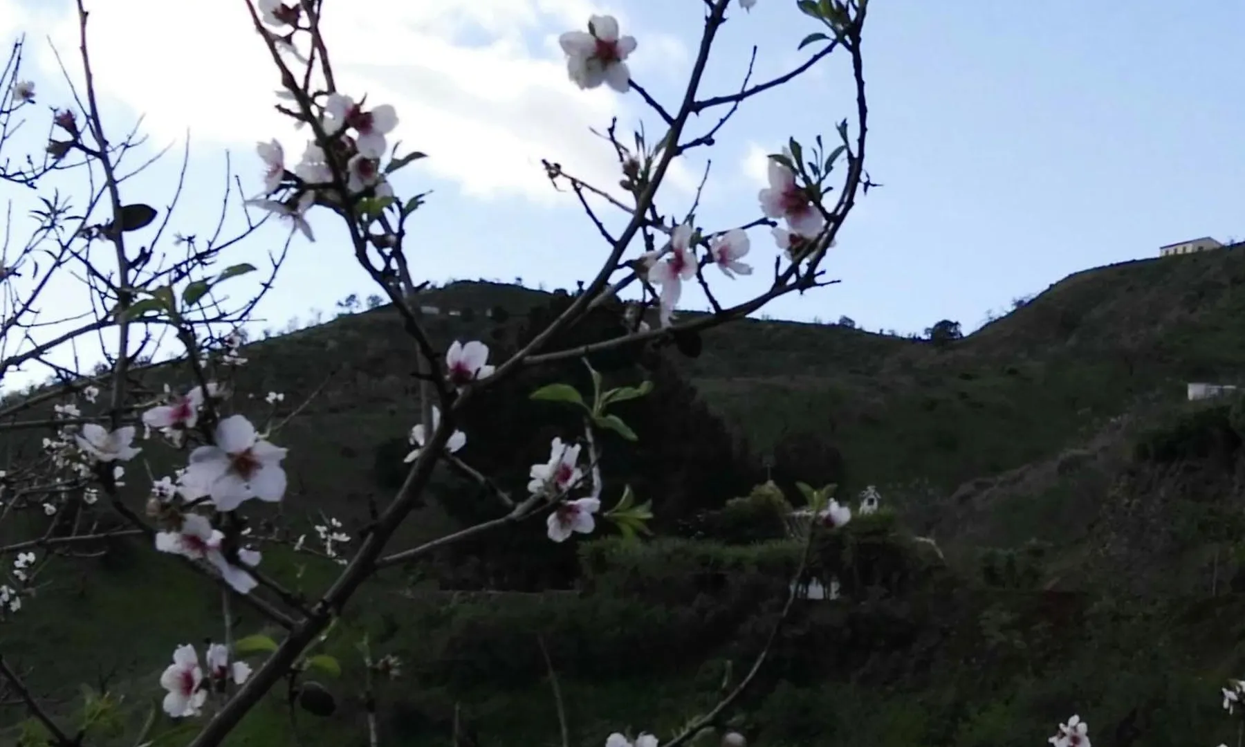 Villa Pinar El Almendra Málaga Сasa de vacaciones