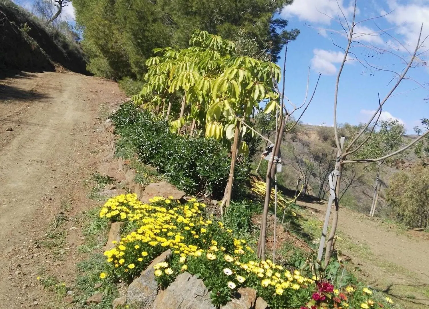 度假居 马拉加Pinar El Almendra别墅